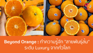 Beyond Orange