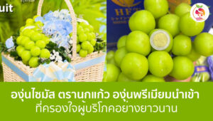 องุ่นไซมัส