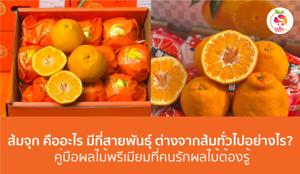 ส้มจุก