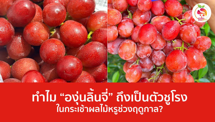 องุ่นลิ้นจี่
