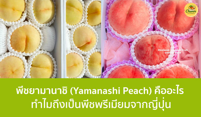 พีชยามานาชิ 10