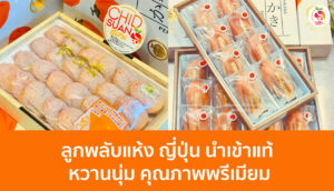 ลูกพลับแห้งญี่ปุ่น