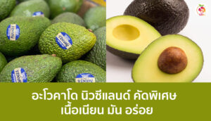 อะโวคาโด นิวซีแลนด์