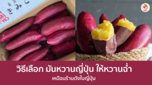 มันหวานญี่ปุ่น