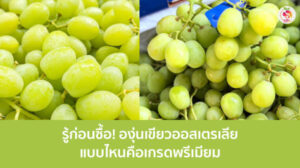 องุ่นเขียวออสเตรเลีย