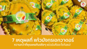 แก้วมังกรเอกวาดอร์