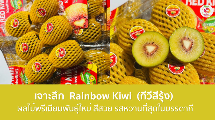 Rainbow Kiwi