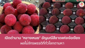 หยางเหมย Yangmei