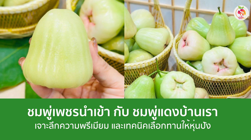 ชมพู่เพชรนำเข้า
