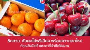 ชิดสวน
