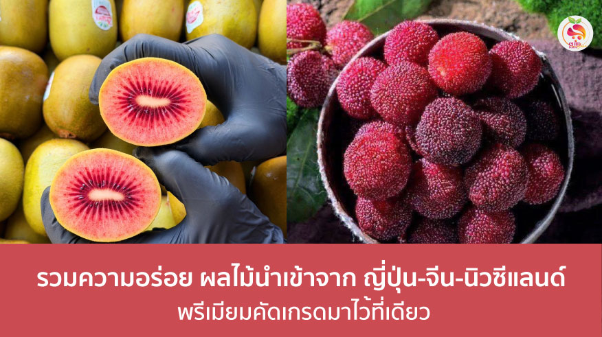 ผลไม้นำเข้า