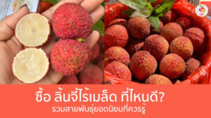ซื้อลิ้นจี่ไร้เมล็ด ที่ไหนดี