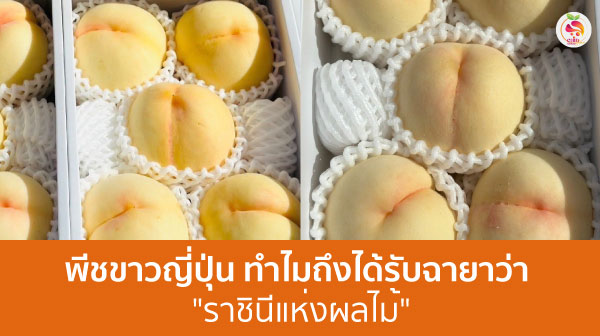 พีชขาวญี่ปุ่น