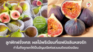ลูกฟิกฝรั่งเศส