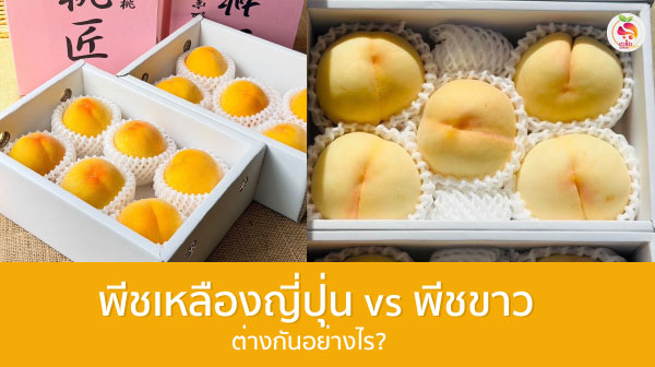 พีชเหลืองญี่ปุ่น
